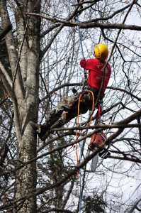 p-pruning