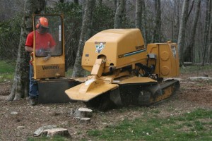 Stump Grinding